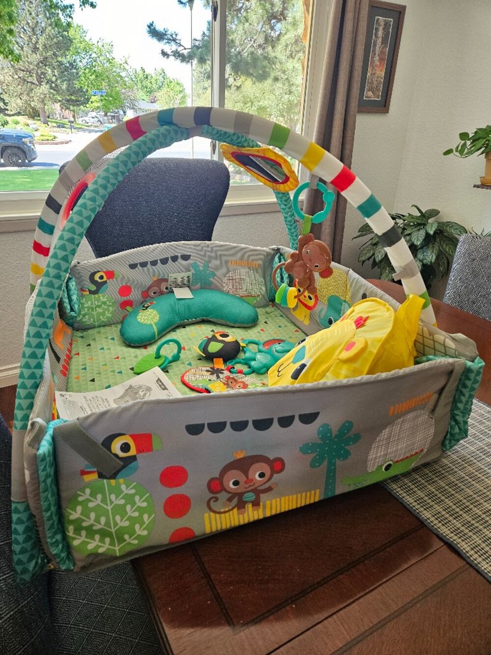 Child Activity Gym